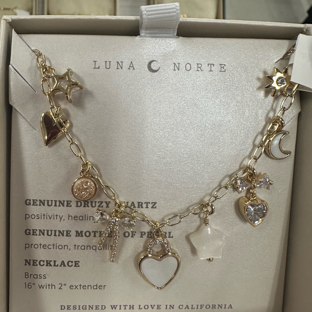 Luna Norte Charm Necklace 65$